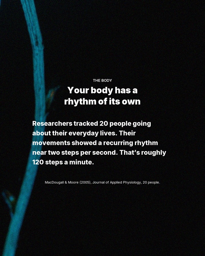 Why does 128 BPM feel so damn good?, slide 3