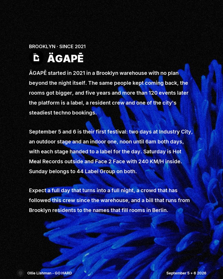 ÄGAPĒ Festival, stage by stage, slide 2