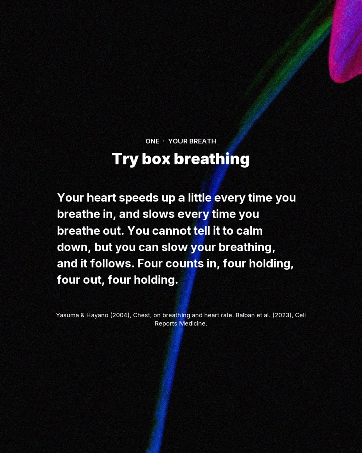 3 things you can do when anxiety hits at a rave, slide 2