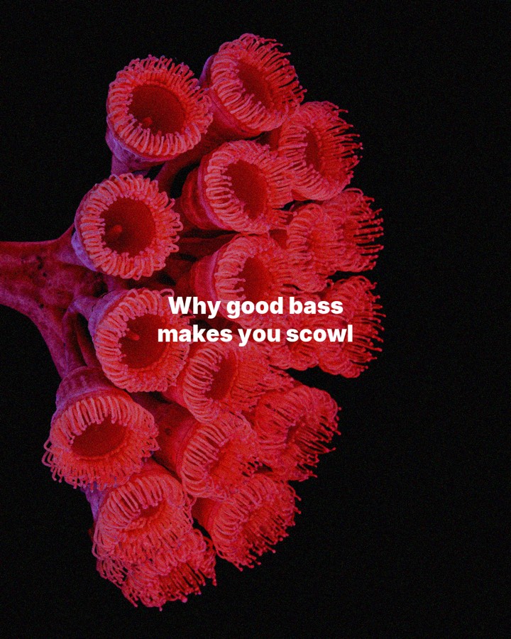 Why good bass makes you scowl, slide 1