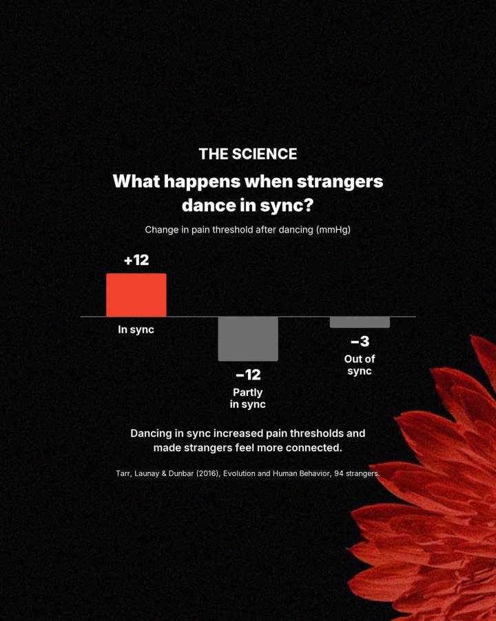 Why does a room full of strangers feel like home?, slide 2
