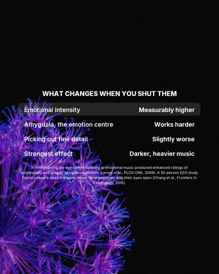 Closing your eyes changes how hard the music lands, slide 3