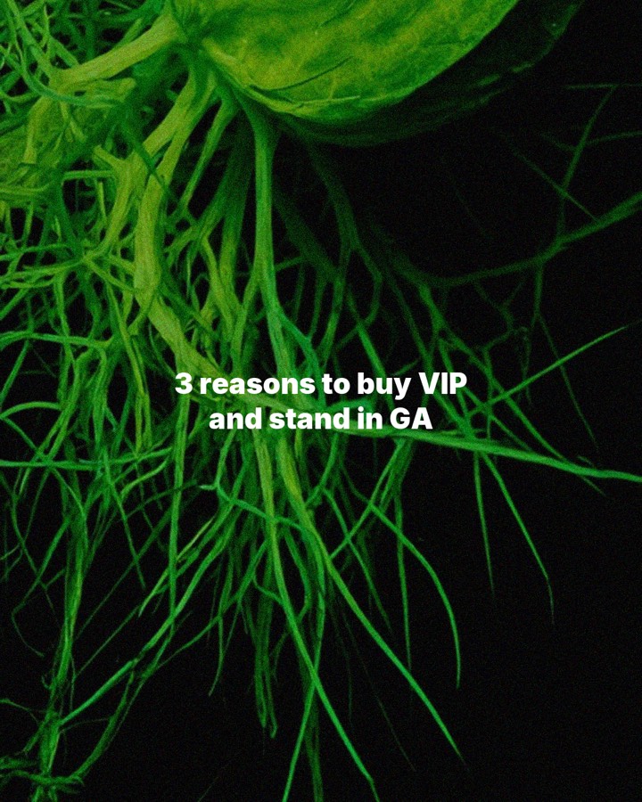 3 reasons to buy VIP and stand in GA, slide 1