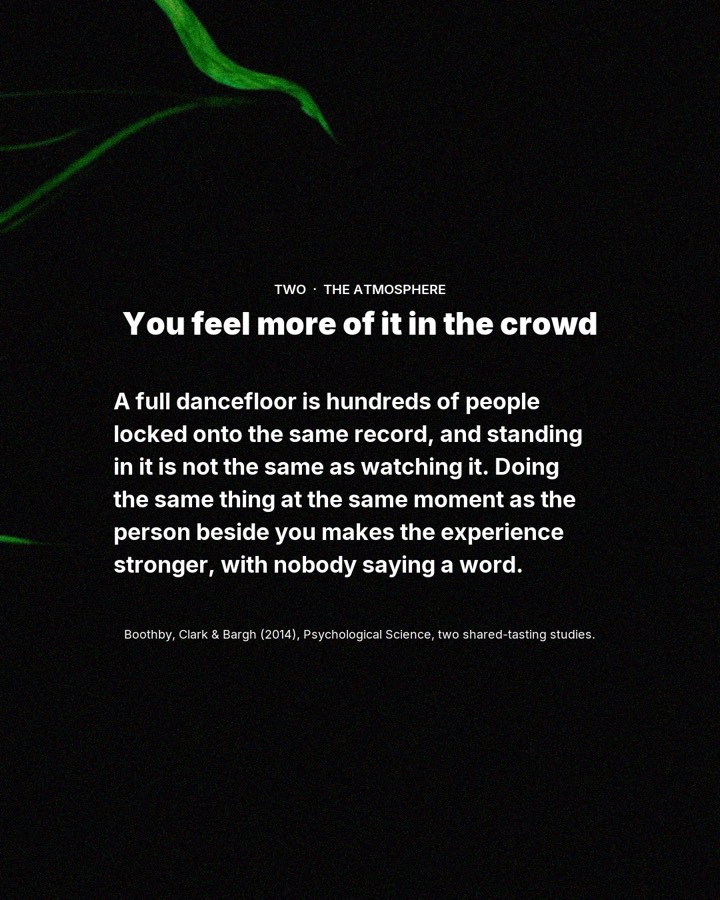 3 reasons to buy VIP and stand in GA, slide 3