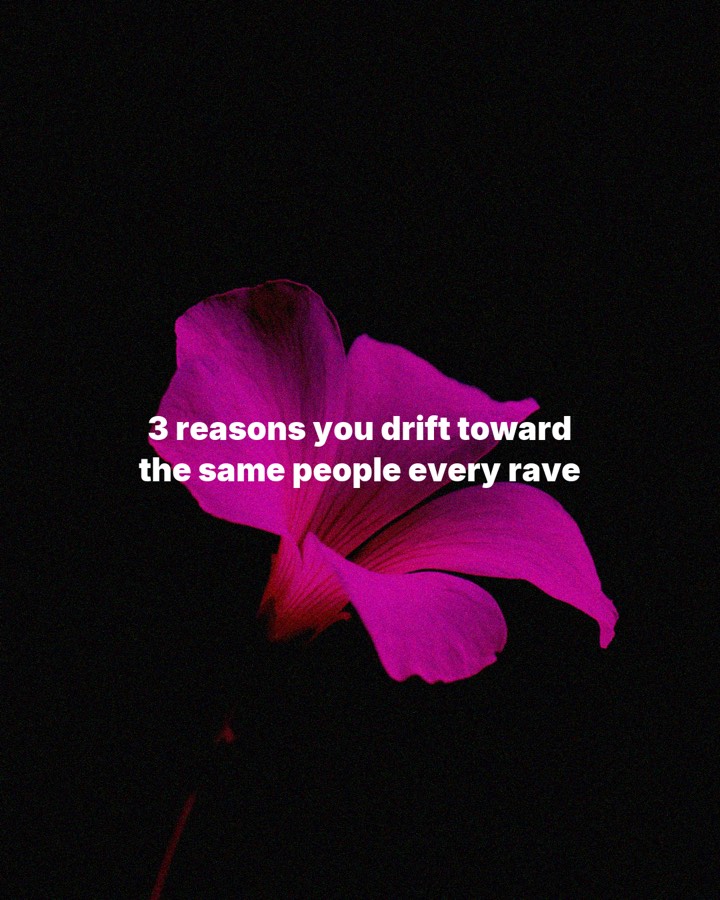 3 reasons you drift toward the same people every rave, slide 1