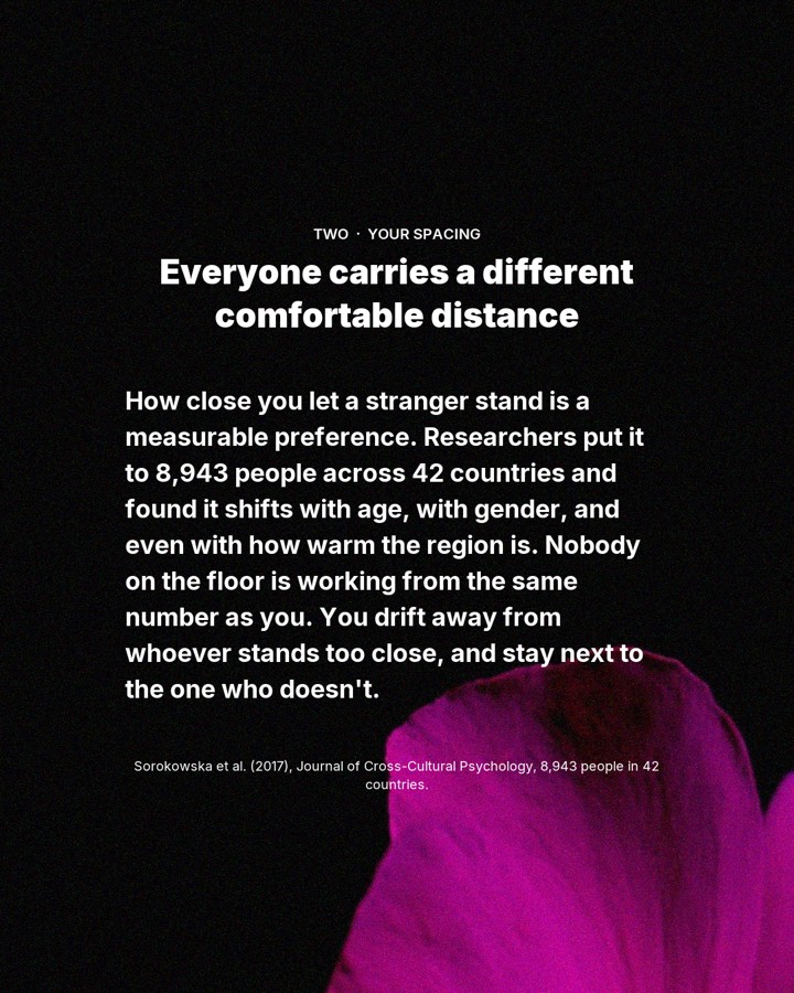 3 reasons you drift toward the same people every rave, slide 3