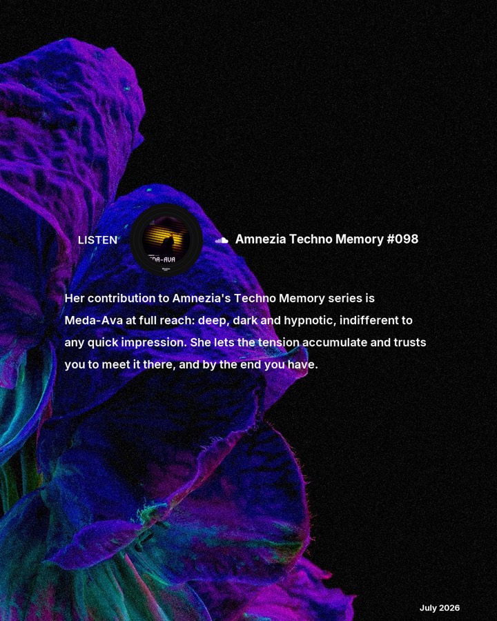 Meda-Ava, slide 3