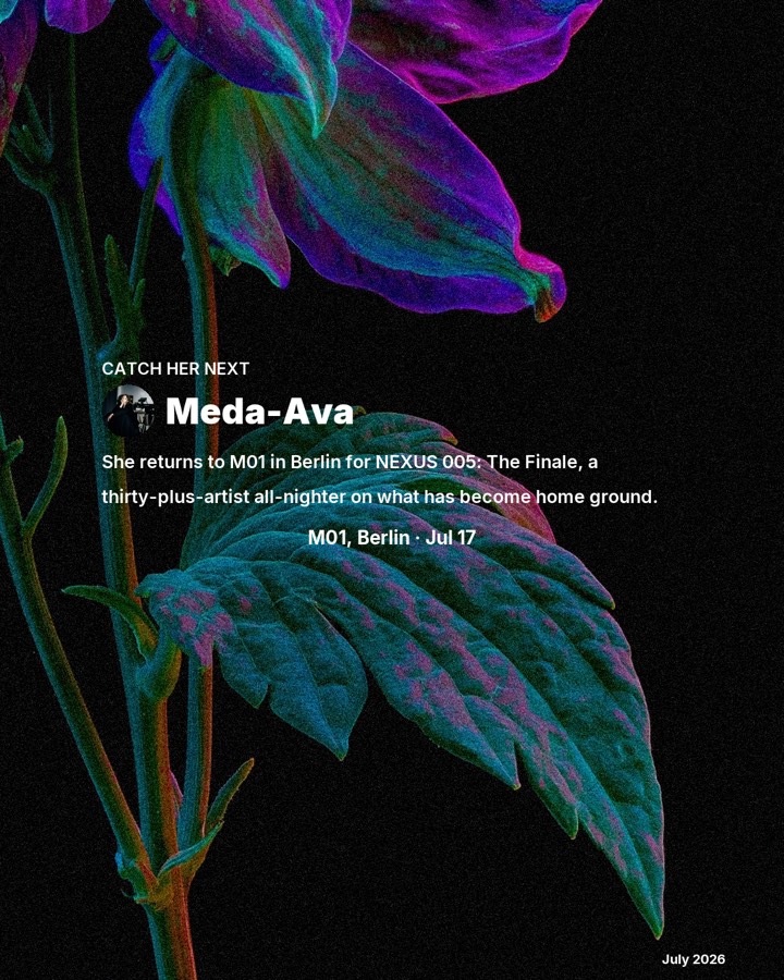 Meda-Ava, slide 5