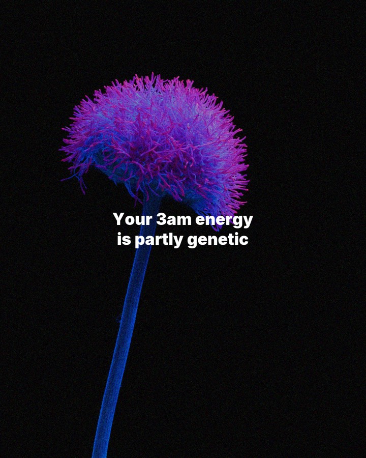 Your 3am energy is partly genetic, slide 1
