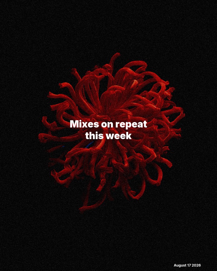 Mixes on repeat this week: August 17, 2026, slide 1