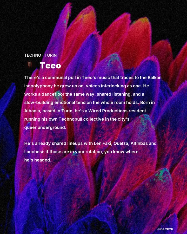 Teeo, slide 2