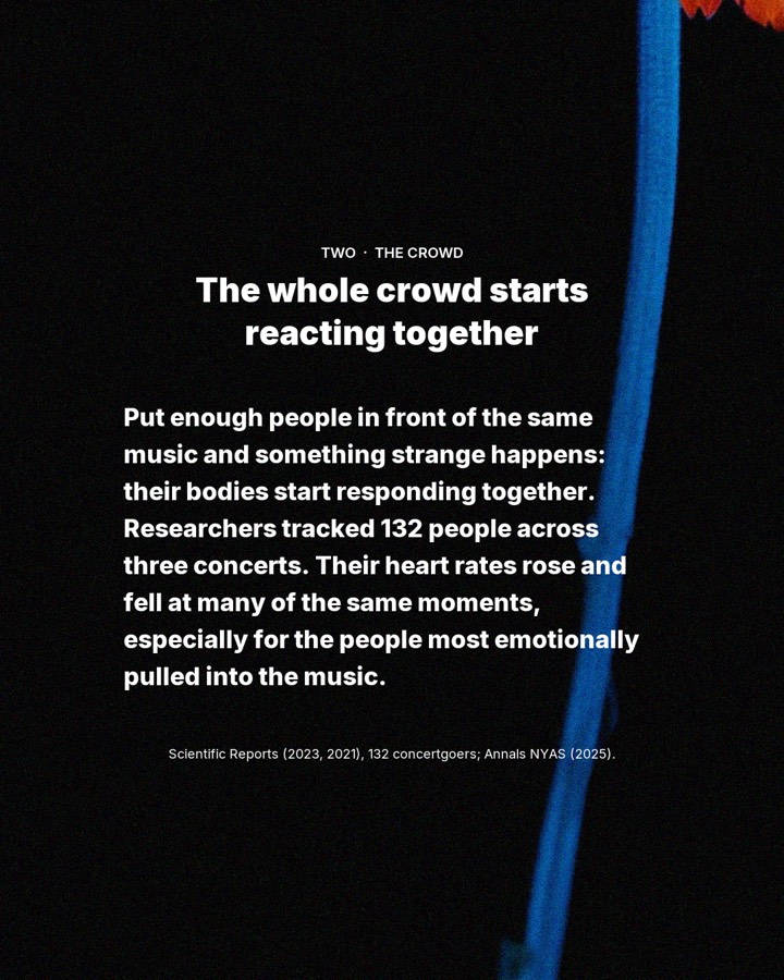 The science of losing yourself on the dancefloor, slide 3