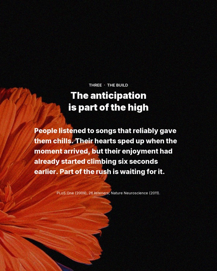 The science of losing yourself on the dancefloor, slide 4